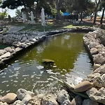 Hotel El Cisne