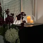 Apartamento Alcalá