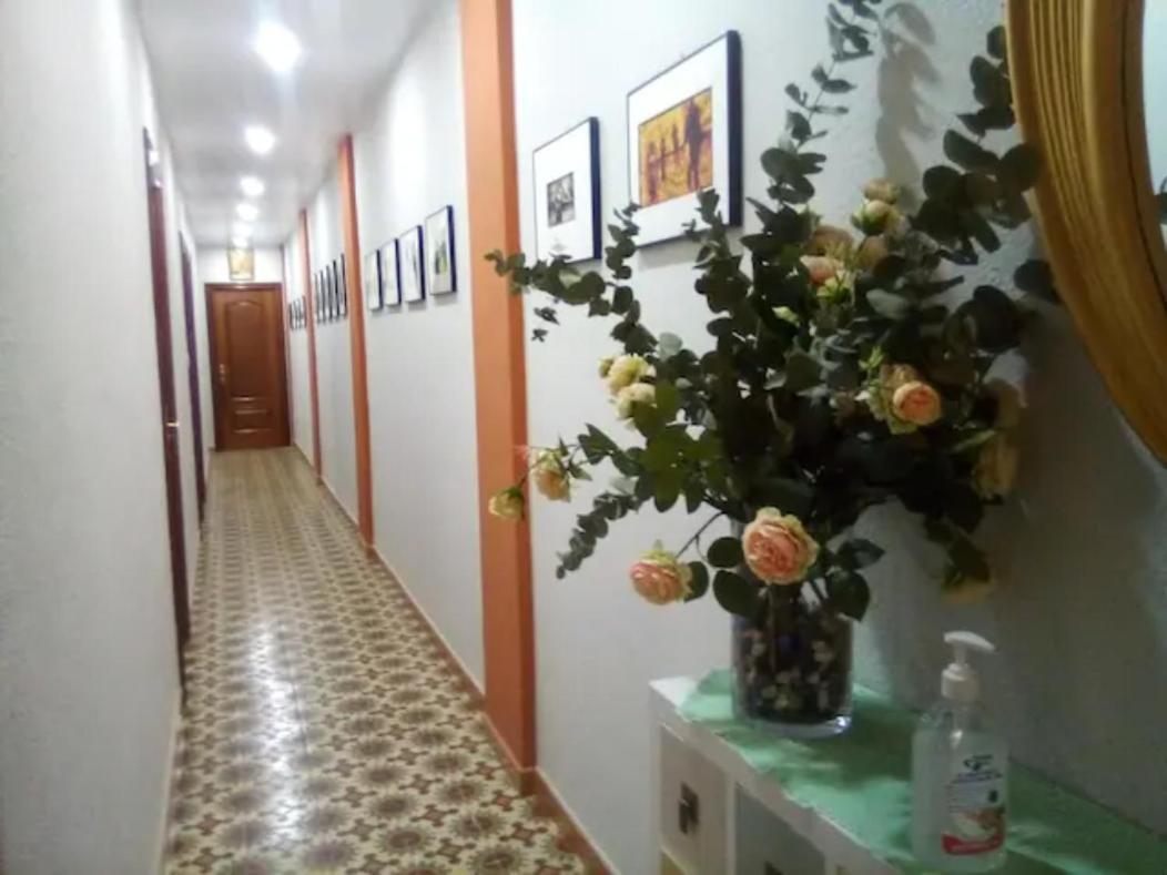 Habitación en casa particular Las Golondrinas Zaragoza Zaragoza