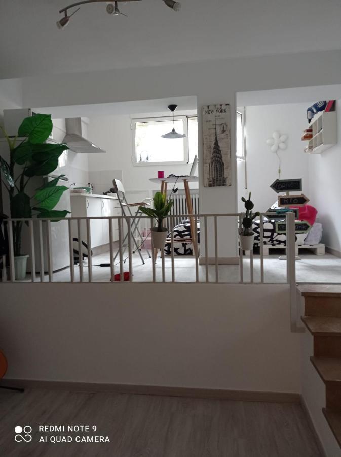 Ruiseñores Apartamento Zaragoza