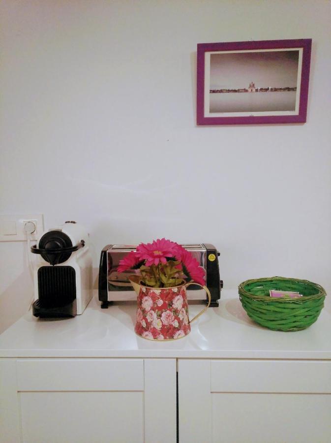 Junto Al Pilar Apartment Zaragoza