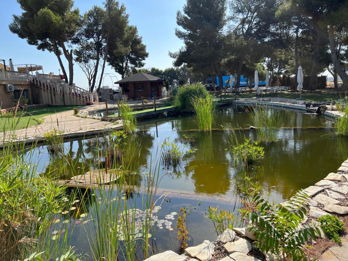 Hotel El Cisne 3*
