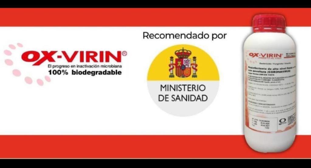 Apartamento Carol's Ii *