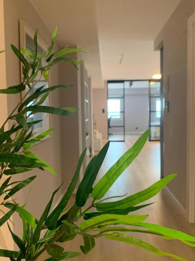 Espectacular Loft Lleno De Luz Y Espacio! Apartamento *