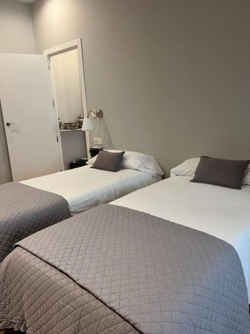 Precioso Y Centrico Apartamento Zaragoza