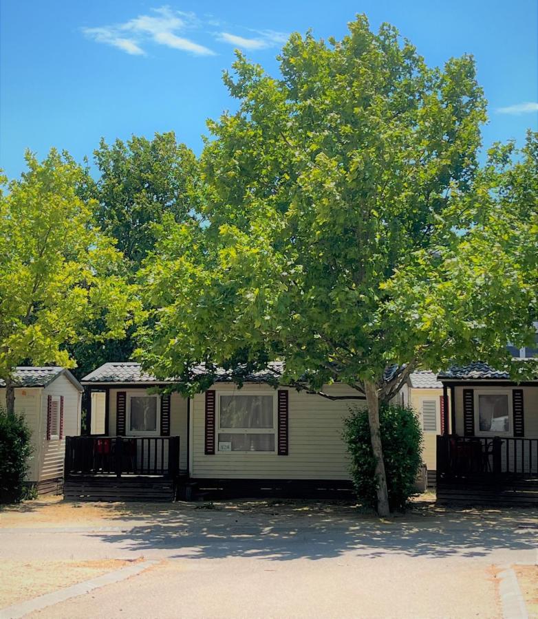 Bungalows Zaragoza Camping Campsite Zaragoza