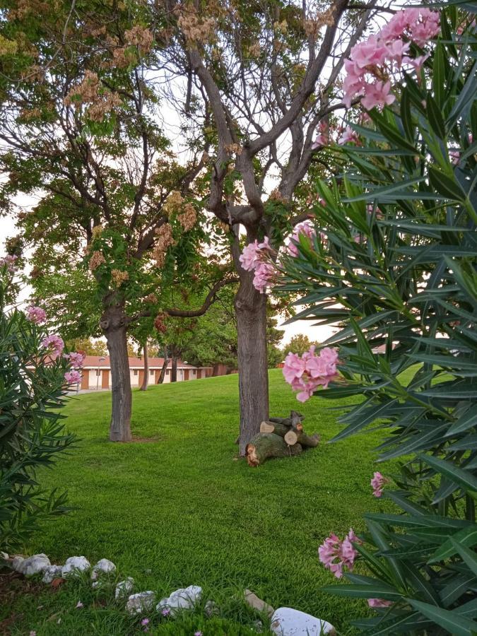 Campsite Bungalows Zaragoza Camping *