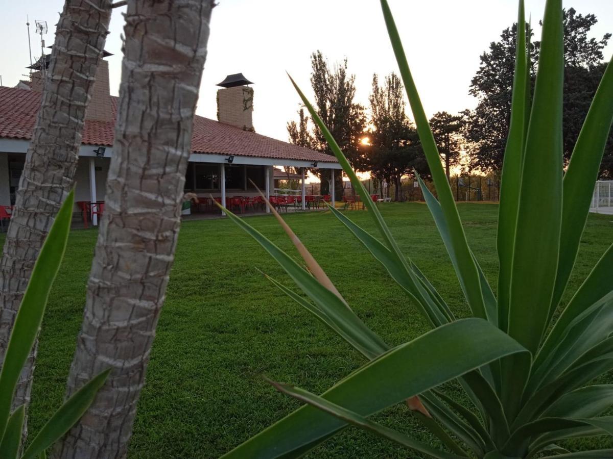 Campsite Bungalows Zaragoza Camping