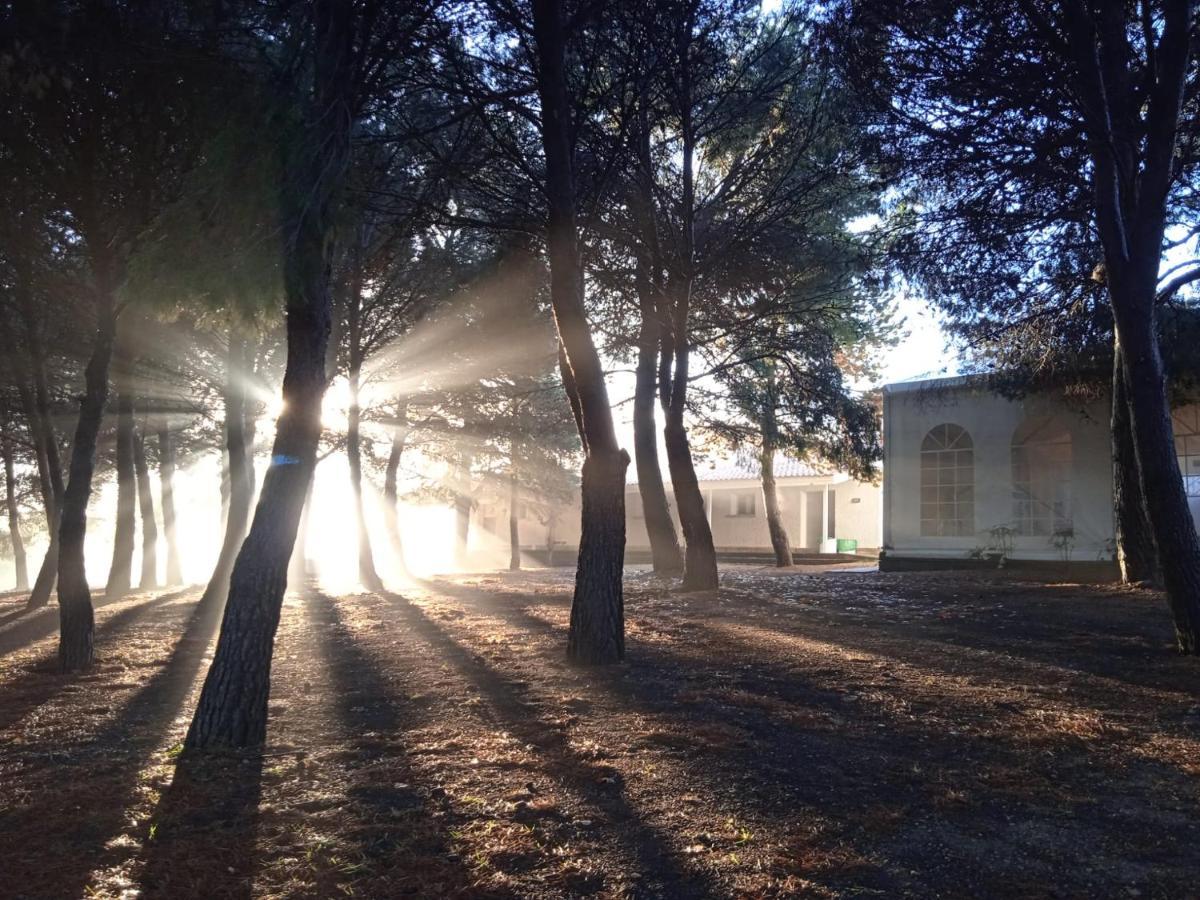 Bungalows Zaragoza Camping Campsite Zaragoza