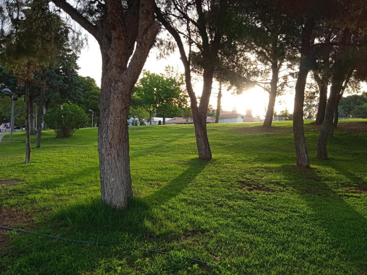 Bungalows Zaragoza Camping Zaragoza