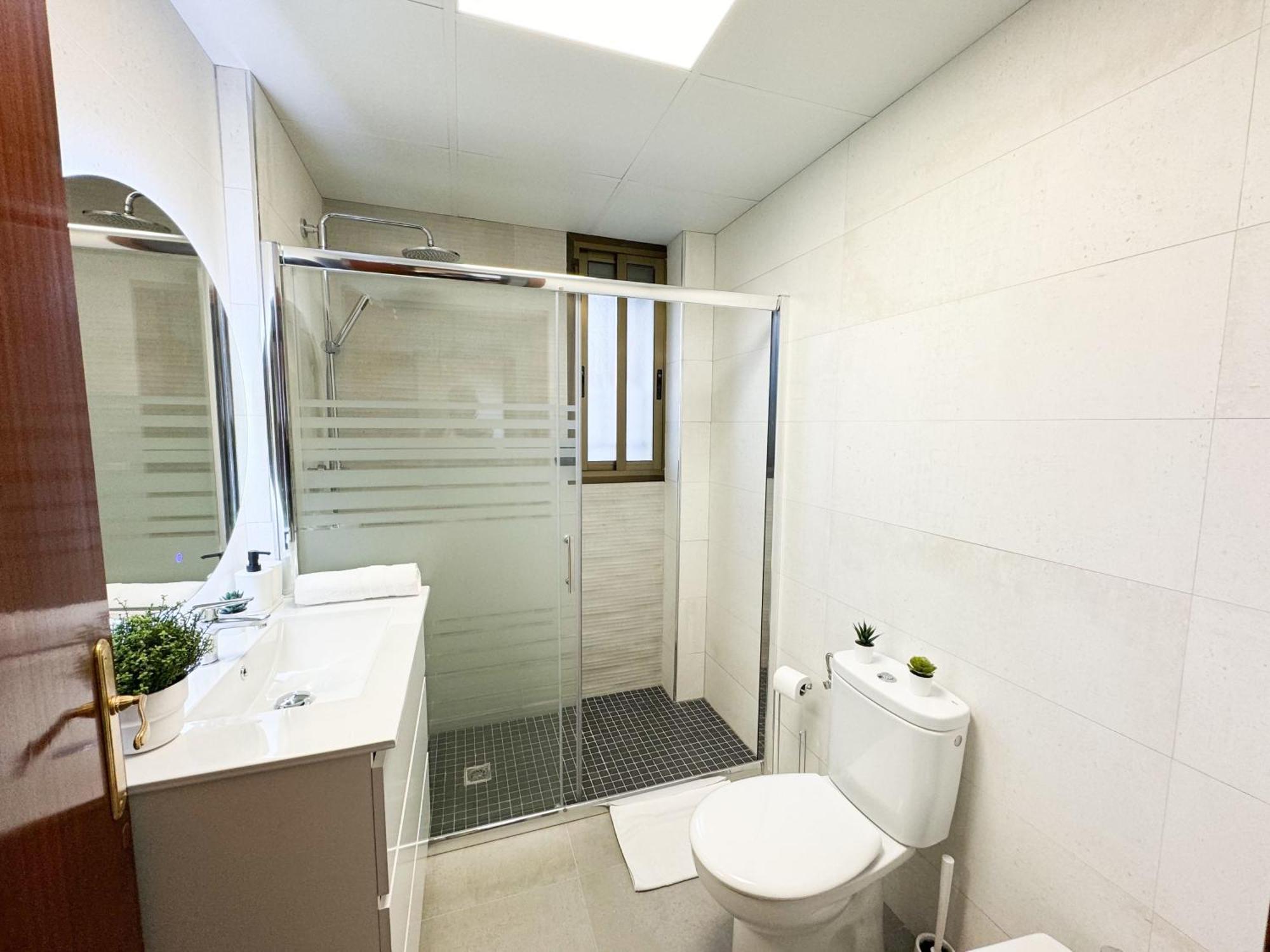 Apartamento La Paloma Del Pilar Comotucasa Zaragoza