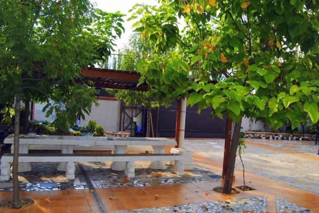 Lodge Exclusivo Loft En Zaragoza2 Zaragoza