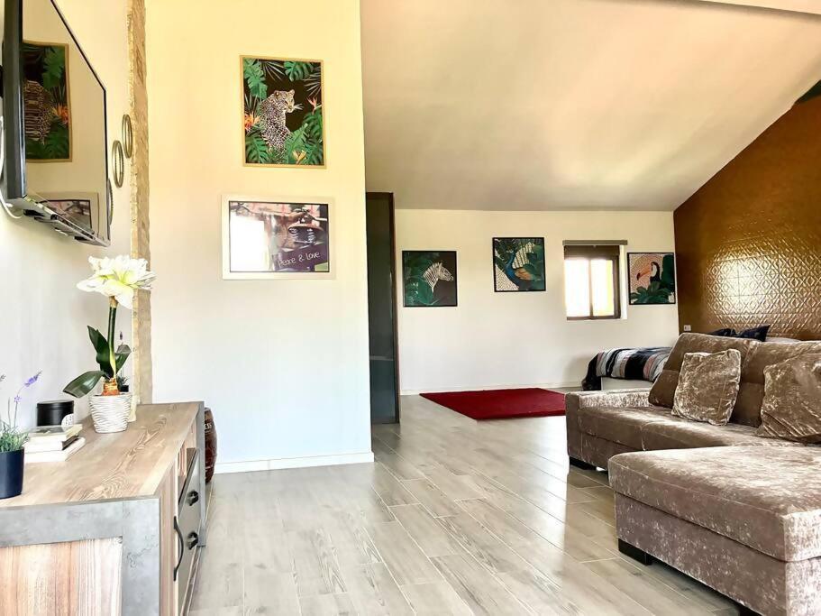 Exclusivo Loft En Zaragoza2 *