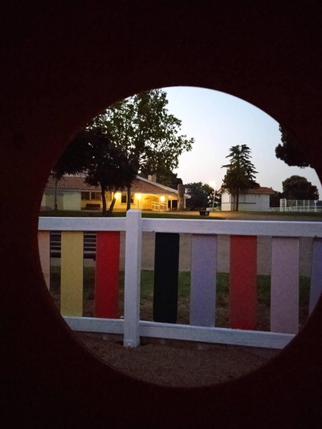 Glamping Camping Campo de lujo Zaragoza