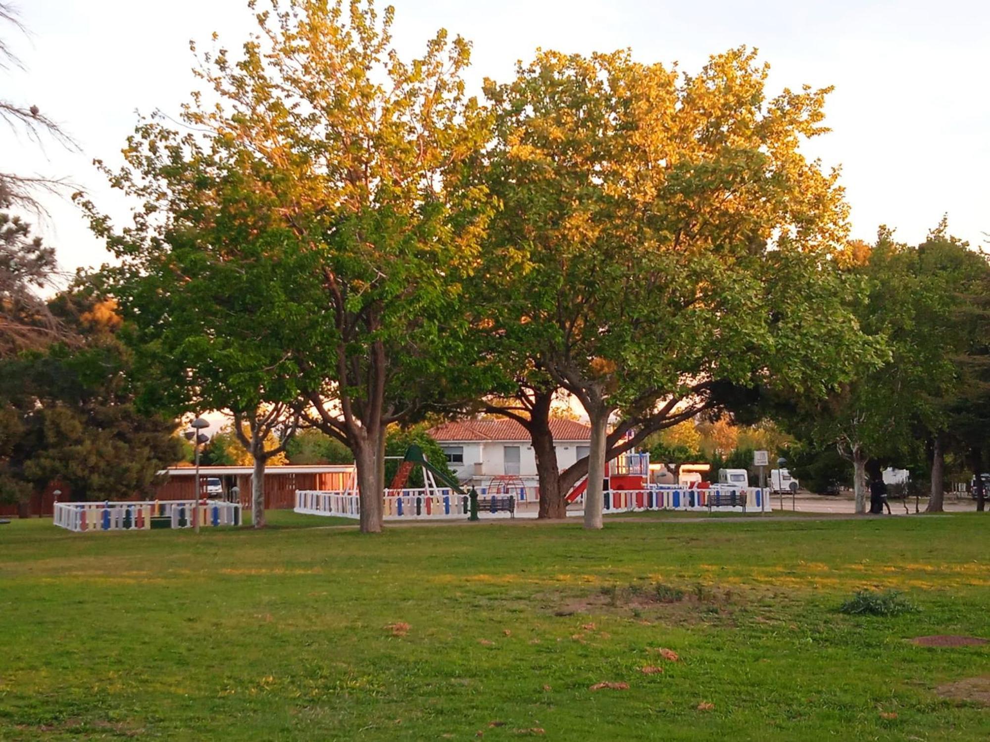 Glamping Camping Campo de lujo