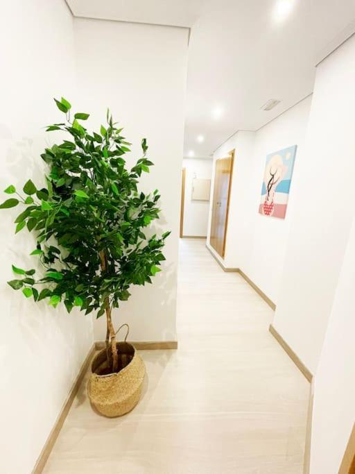 Novedad Avenida Puente Del Pilar Apartamento *