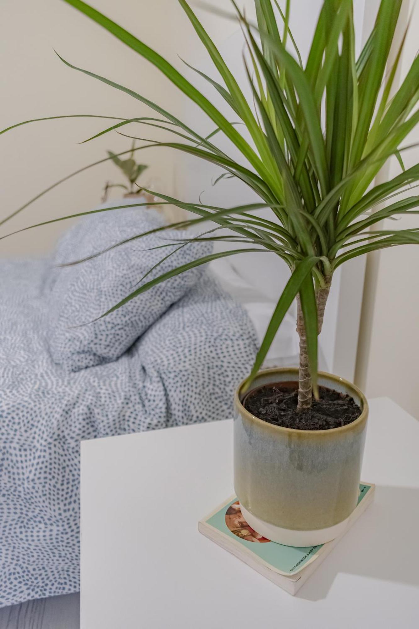Apartamento Fuentes