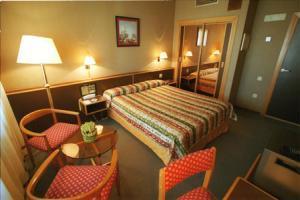 Hotel Goya 4*