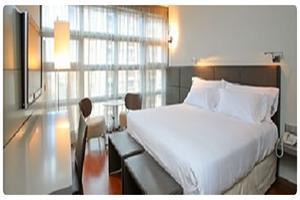 Hotel Reina Petronila 5*