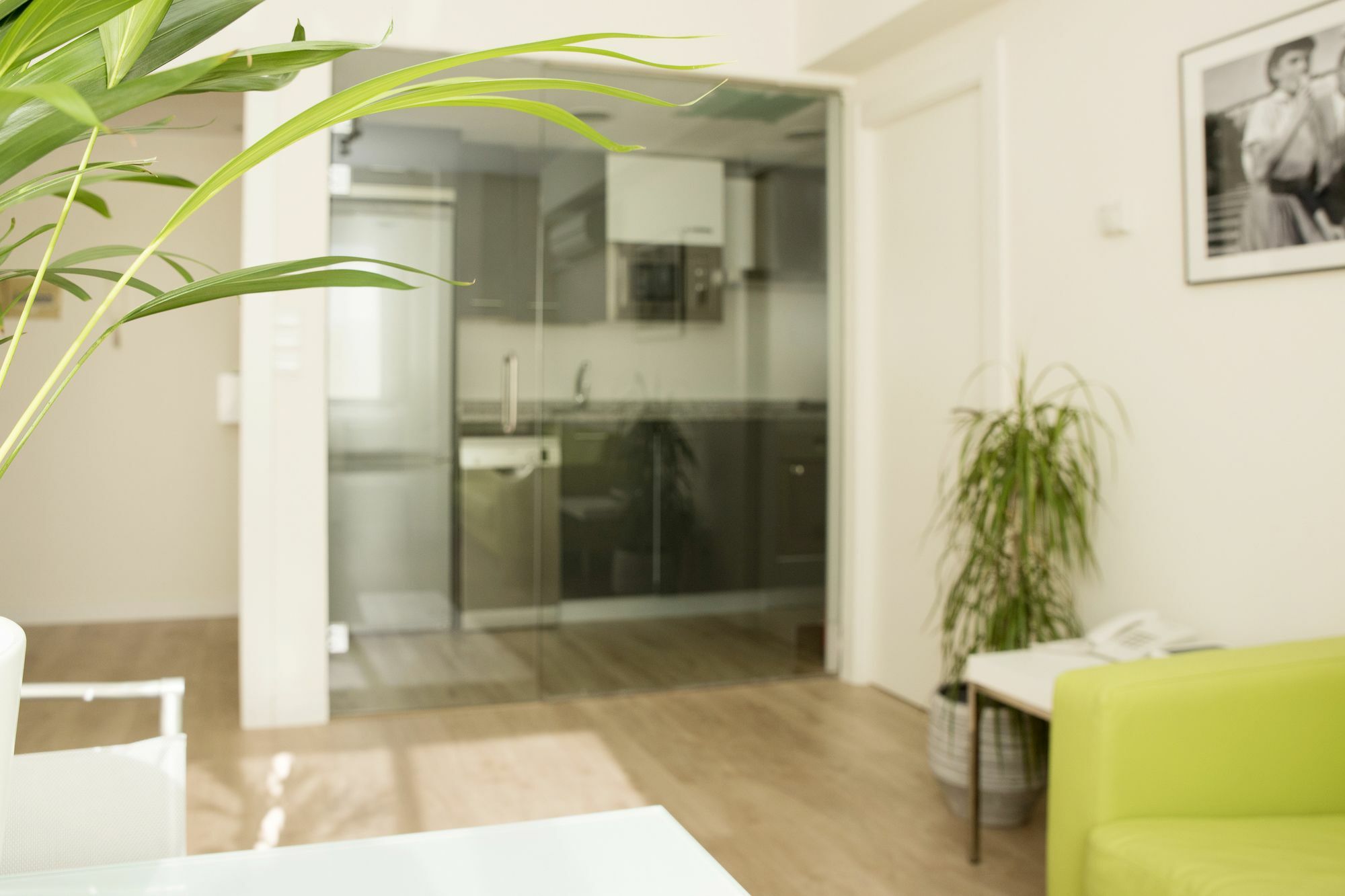 Apartment Sabinas San Miguel *