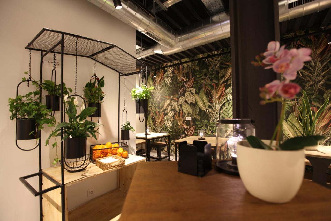 Vtz The Botanic Zaragoza